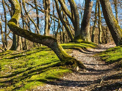 ddos在线攻击工具